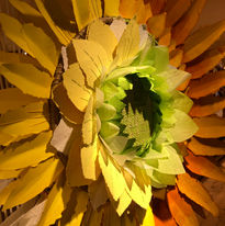 sunflower_closeup.jpg