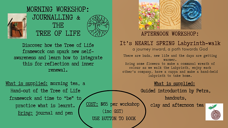 aug workshops website page.png
