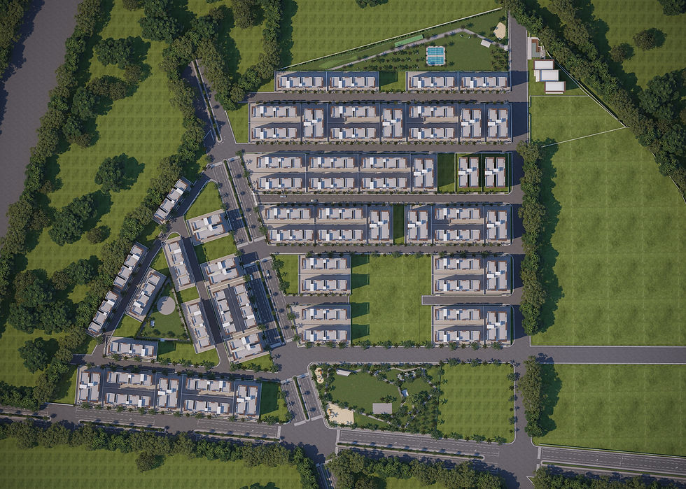 Ortho VIew compress