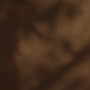 BG 4.png