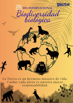 AMBIENTAL