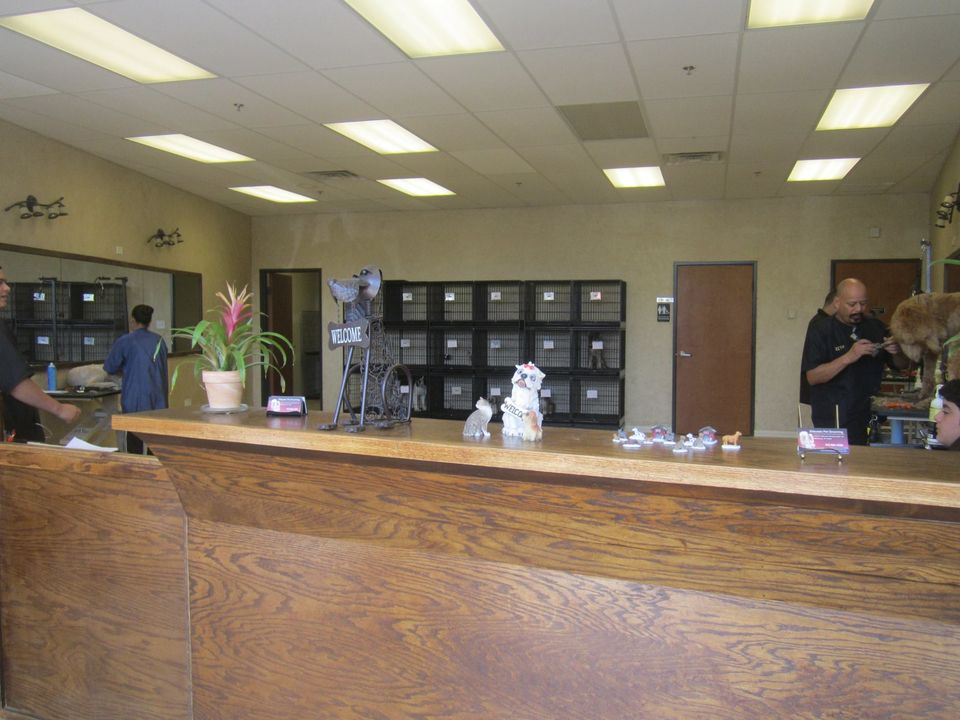 Eldorado Pet Grooming business photo