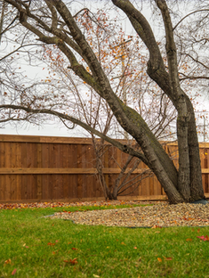 Fall Fence Prep in Winnipeg: Your Complete Winter-Ready Checklist for 2026