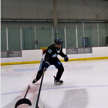 The partnership between SDR Academy and National Sport School in Canada