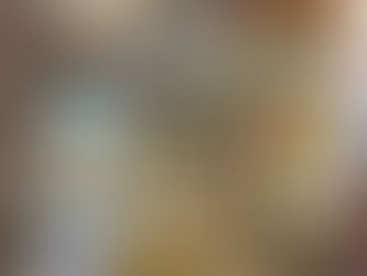 高小・図書室のお化粧直し🌹