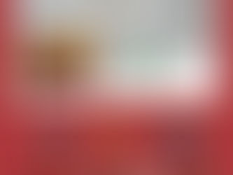 クリスマスの時に~素敵なプレゼント🌲