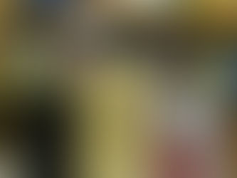 厳冬に心温まる来客♡