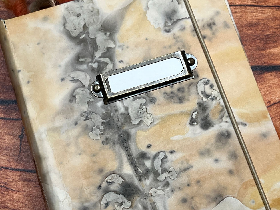 Miniaturbild: Tagebuch Eco