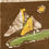 Miniaturbild: Kartenset Batik Maritim