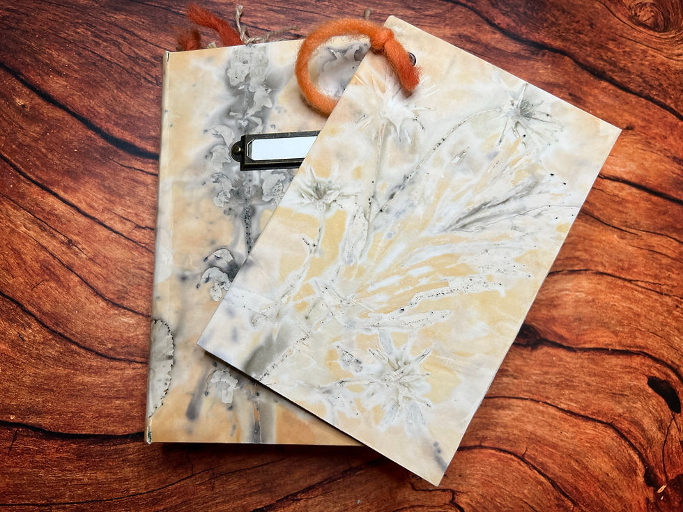 Miniaturbild: Tagebuch Eco