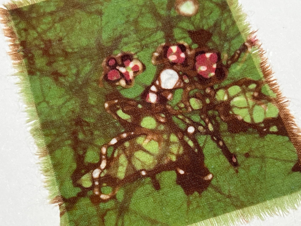 Miniaturbild: Kartenset Batik Frühlingsblumen