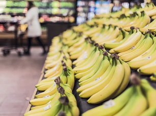 Eco-Friendly Pest Control for Grocery Stores: How Repeltec Keeps Produce Safe