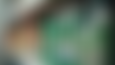 Geraniol Surface Repellents vs Repeltec: Why the EU Phase-Out Is Actually an Upgrade