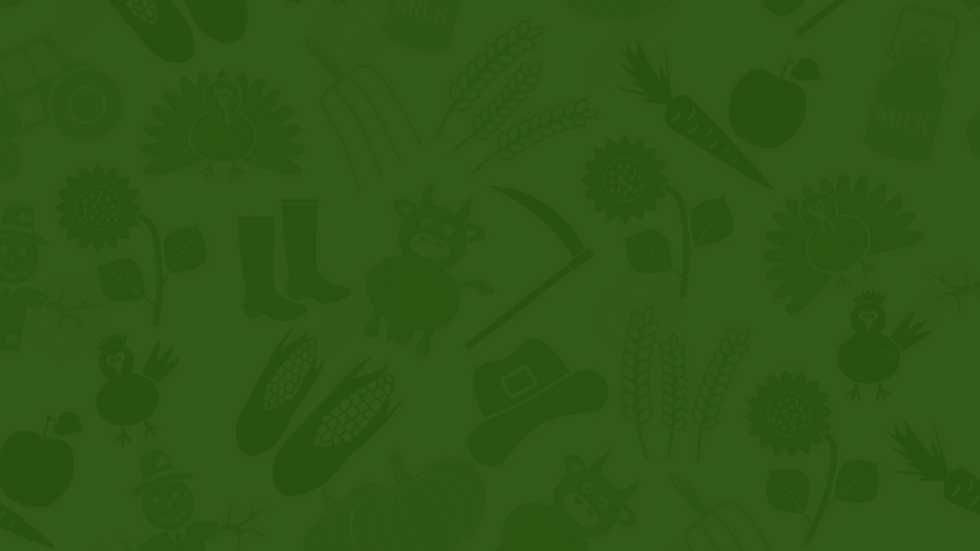 eFama Landing Page screen (1).png