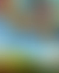 When Ideas are Safer in my Head