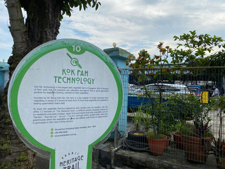 A Cool Day at Kok Fah Technology Farm