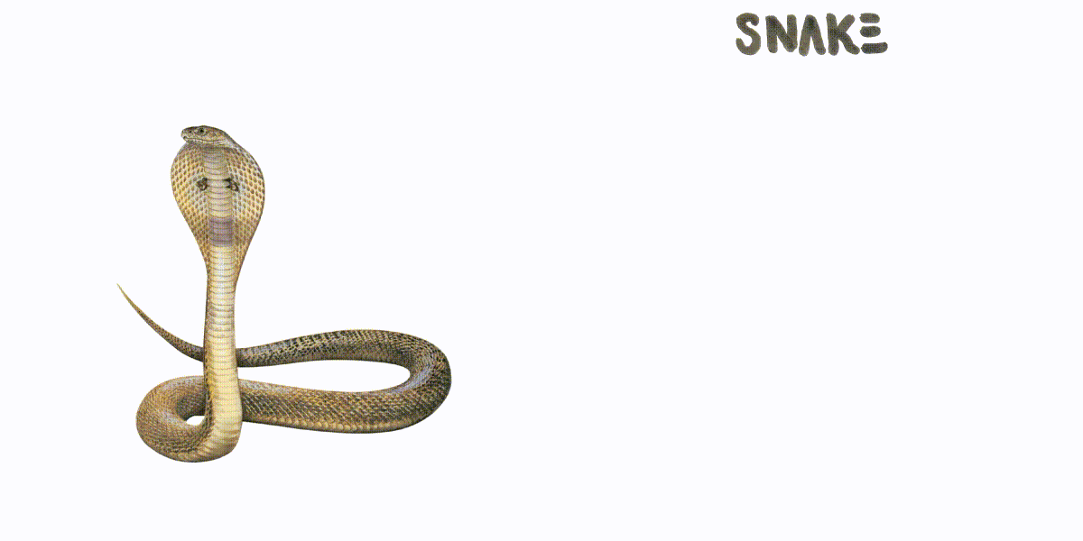 snake-single-line-drawing-7-final1-doubleGIF.gif