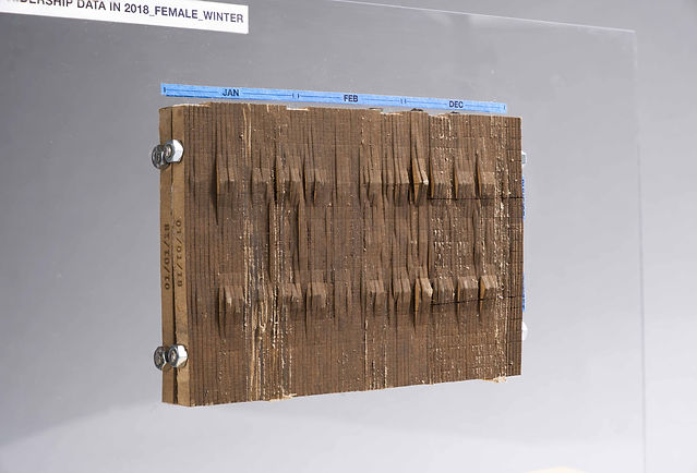 female winter_small 2.jpg