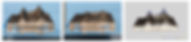 DM_L1_d-01.jpg