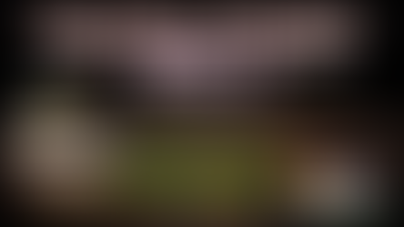 College Football Bets for Week 5!