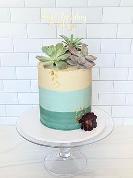 custom succulent decorated cake delivered Phoenix