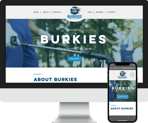Phoenix pest control website designer