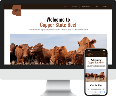 phoenix web design company