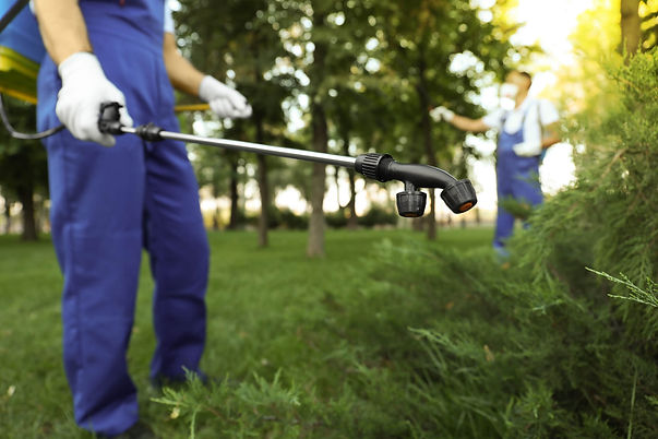 mosquito and tick control boston