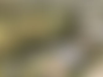 Off Market Opportunities in Brisbane and the Gold Coast