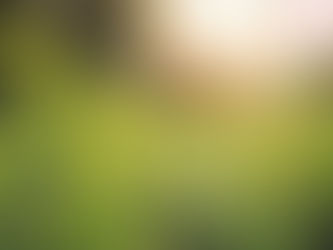 "Easter – A Very Special Day"