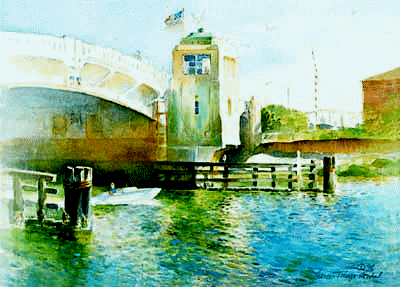 Bridge At Shark River