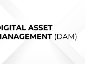DAM: Organizing Your Intellectual Property Portfolio