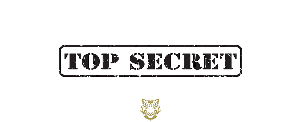 Top Secret - What Most People Don't Talk About