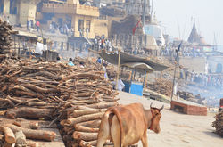 viaje a india varanasi / la orilla i