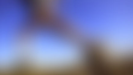 Actividad física: una aliada contra el colesterol