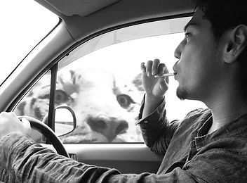 nijisuke_profile_picture 1.jpg
