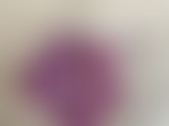 ¿Qué alimentos puedo deshidratar?