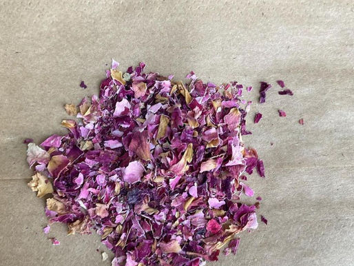 ¿Qué alimentos puedo deshidratar?