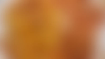 ¿Fruta deshidratada saborizada y sazonada 🥭?