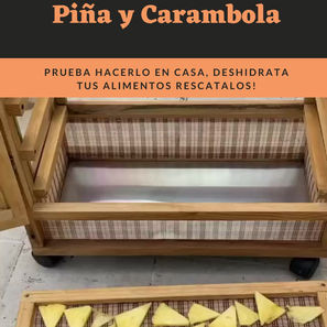 Deshidratación en casa, hoy nos tocó Piña y Carambola