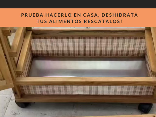 Deshidratación en casa, hoy nos tocó Piña y Carambola