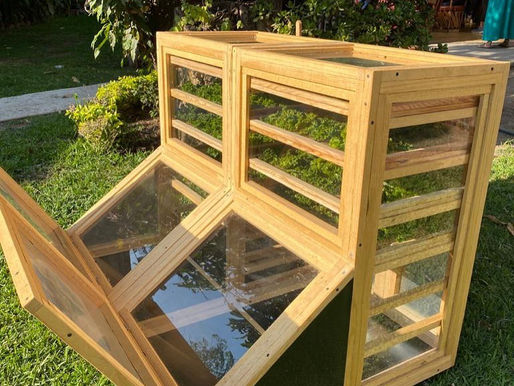 ¿Qué es un deshidratador Solar de Alimentos?