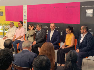 1er Aniversario de Ecovivo