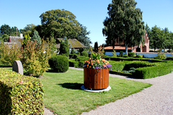 egebjergkirke_plante