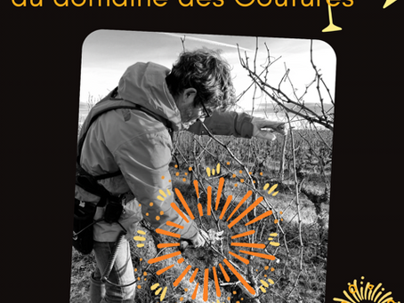 Toute l'équipe du domaine vous souhaite le meilleur pour 2025