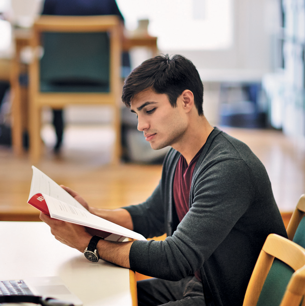 Nuthatch bird ielts reading answers image