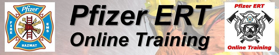 ert online title logo.jpg