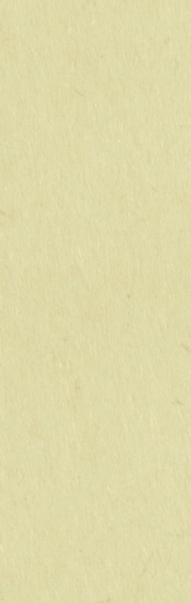 ocre claro.jpg