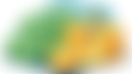 Cómo comprobar ingresos para la visa americana en México (guía completa)