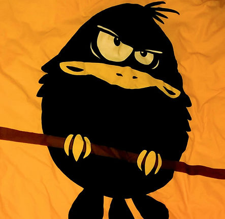 sinirli kuş_edited.jpg